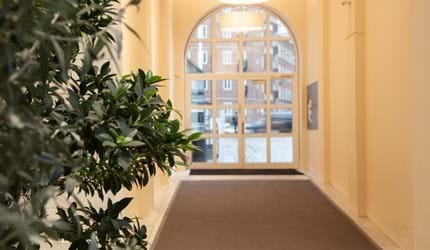 Bing, Mellau_6..afpassede tæpper, sisal